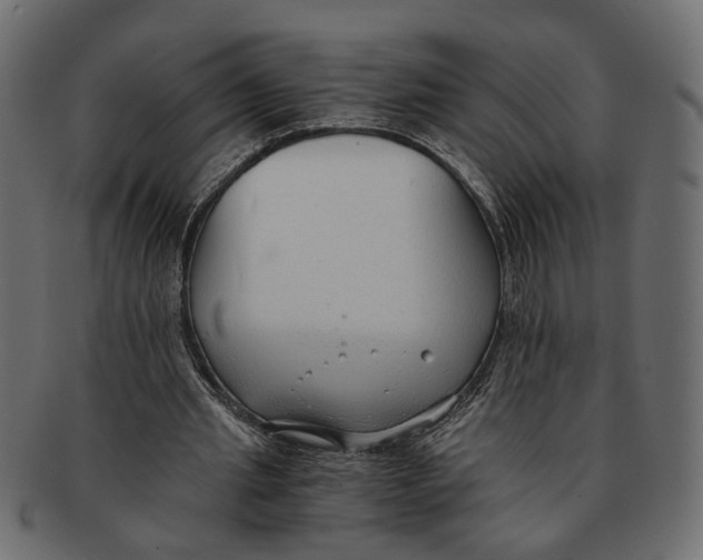 X0000091680437200709201242