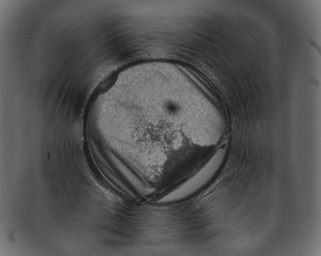 X0000091680438200709201242