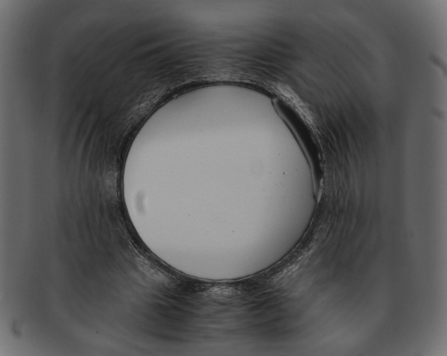 X0000091680441200709201242