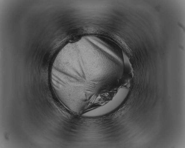 X0000091680442200709201242