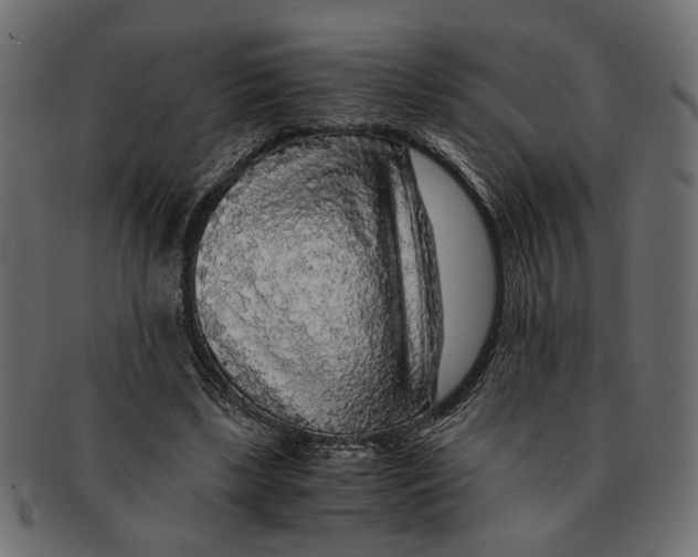 X0000091680443200709201242