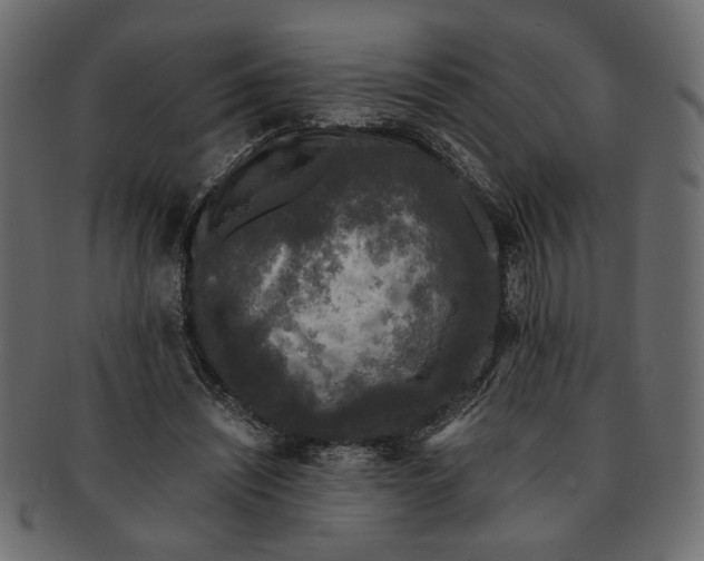 X0000091680444200709201242