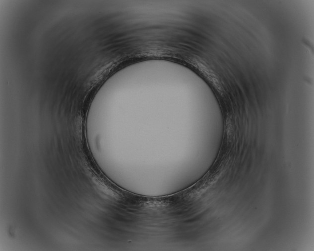 X0000091680445200709201242