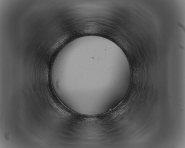 X0000091680446200709201242