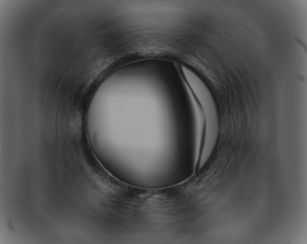 X0000091680448200709201242