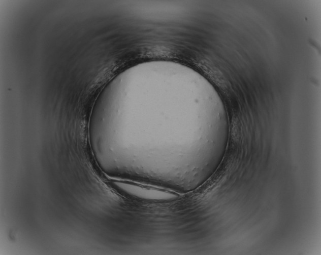 X0000091680449200709201242