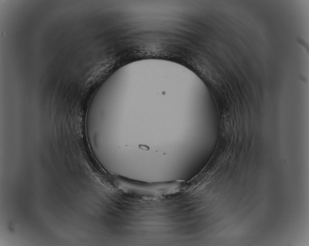 X0000091680450200709201242