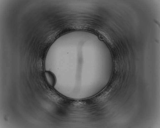 X0000091680453200709201242