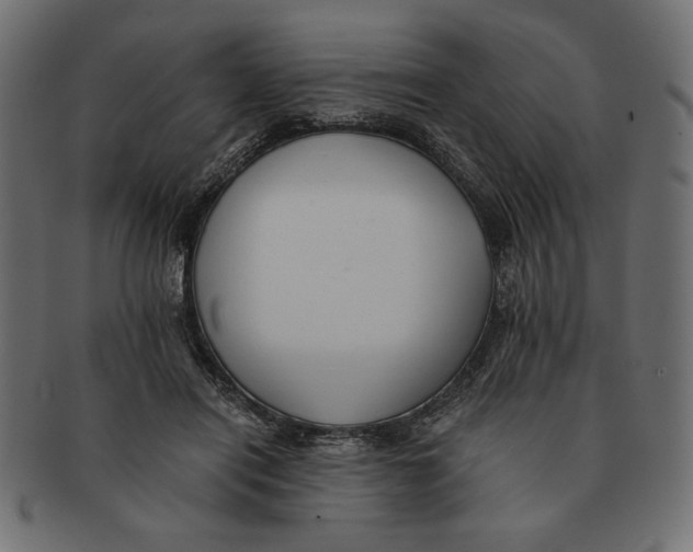 X0000091680454200709201242