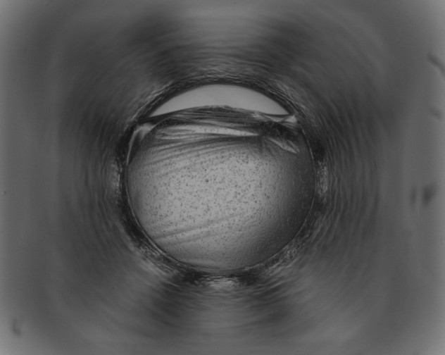 X0000091680456200709201242