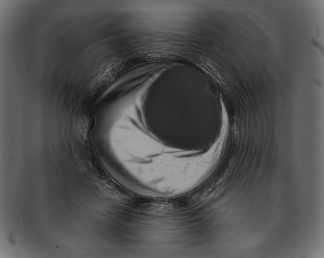 X0000091680458200709201242