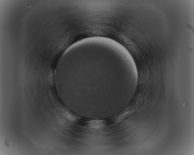 X0000091680465200709201242