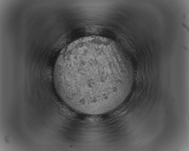 X0000091680466200709201242