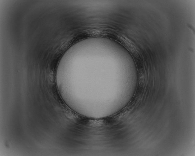 X0000091680469200709201242