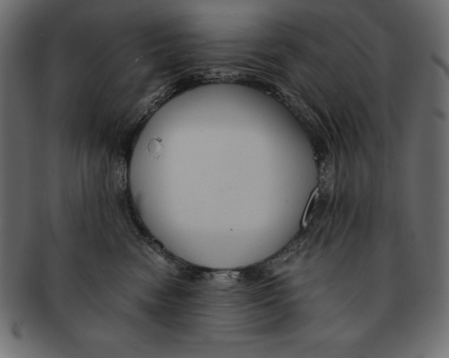 X0000091680474200709201242