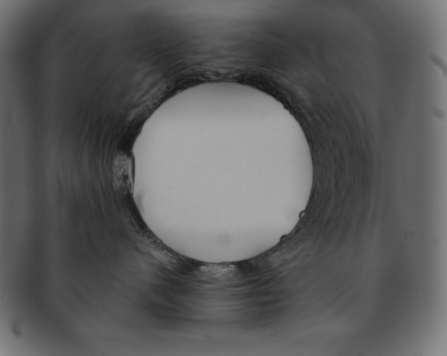 X0000091680480200709201242