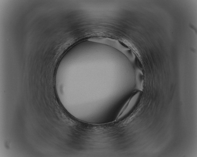 X0000091680481200709201242