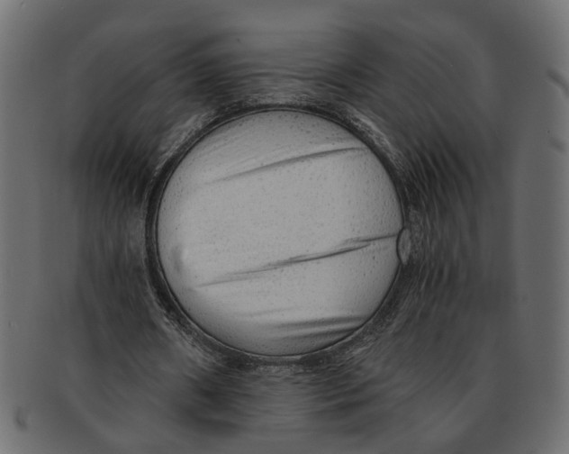 X0000091680482200709201242