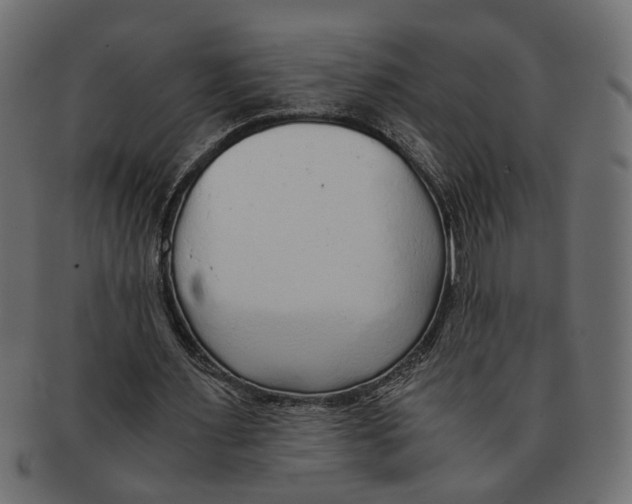 X0000091680483200709201242