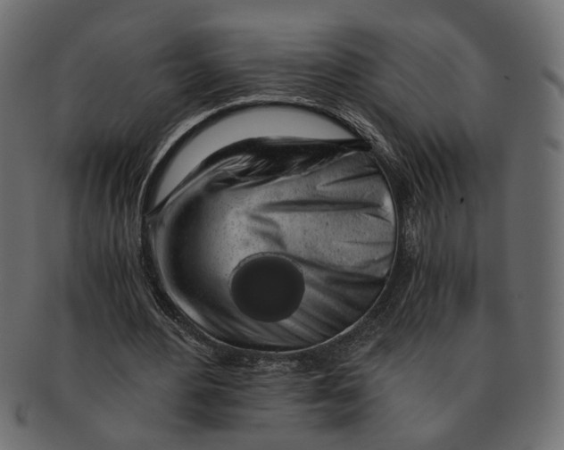 X0000091680484200709201242