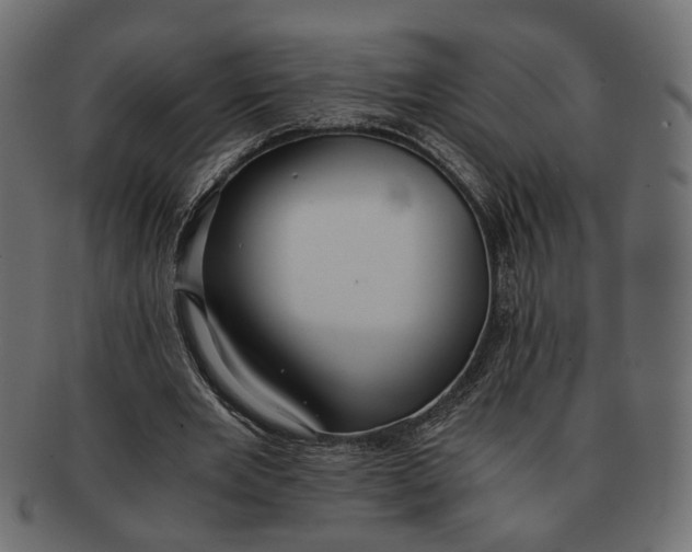 X0000091680485200709201242