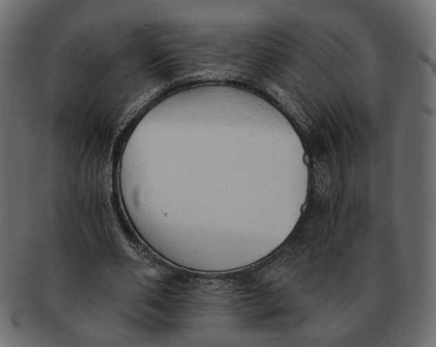 X0000091680486200709201242