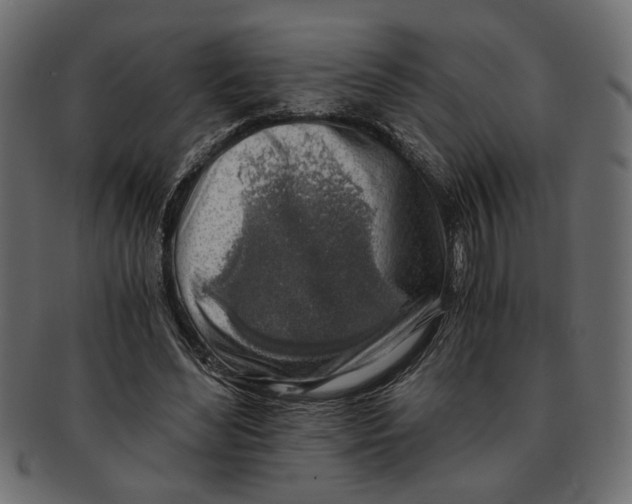 X0000091680492200709201241