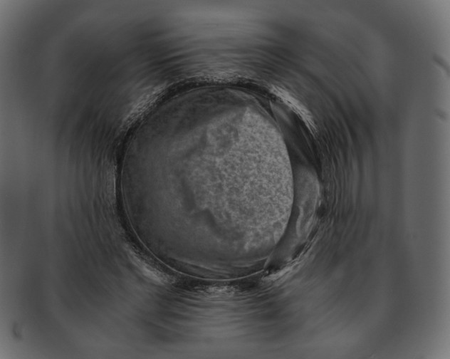 X0000091680493200709201241