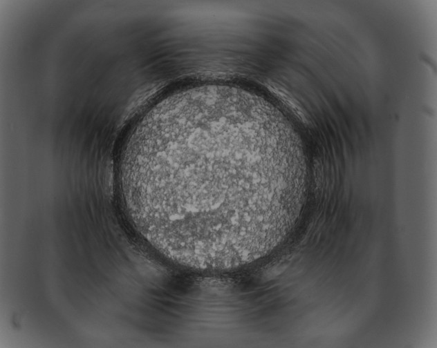 X0000091680494200709201241