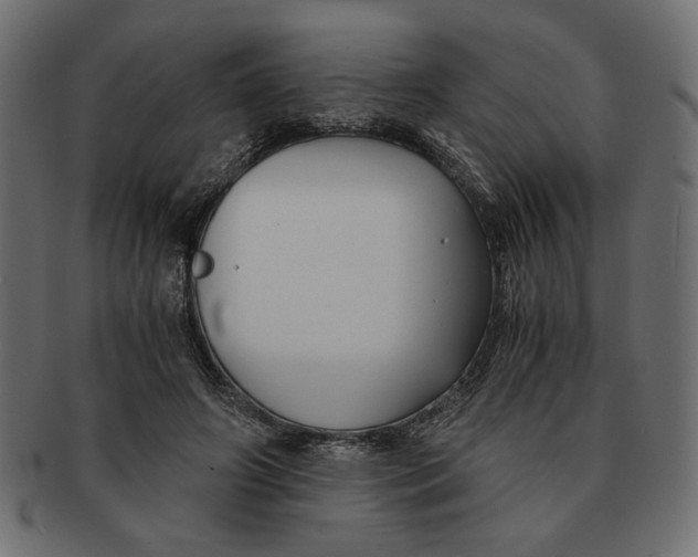 X0000091680498200709201241