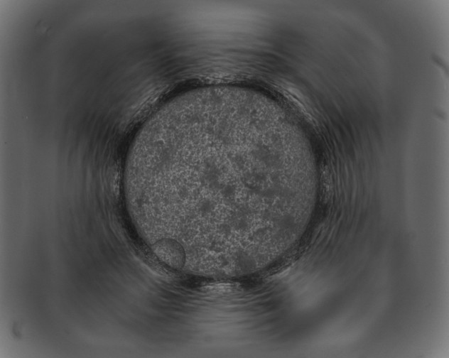 X0000091680499200709201241