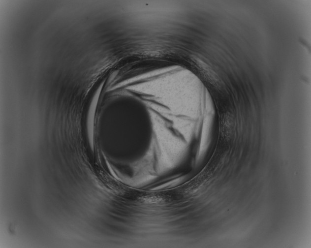 X0000091680500200709201241