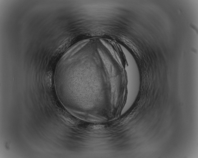 X0000091680501200709201241