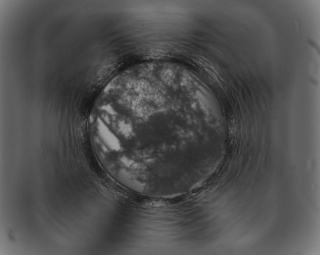 X0000091680503200709201241