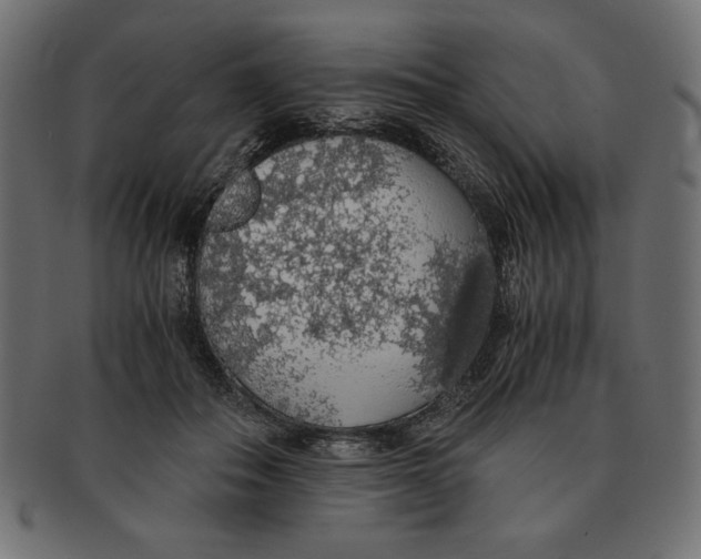 X0000091680506200709201241