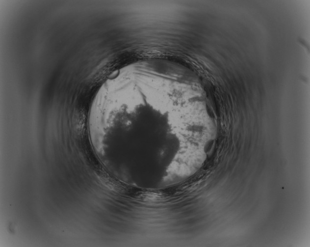 X0000091680507200709201241