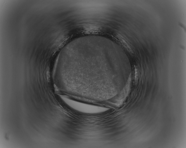 X0000091680508200709201241