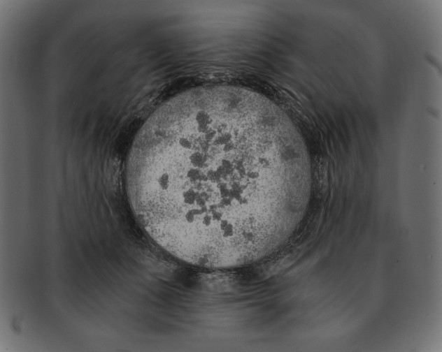 X0000091680511200709201241