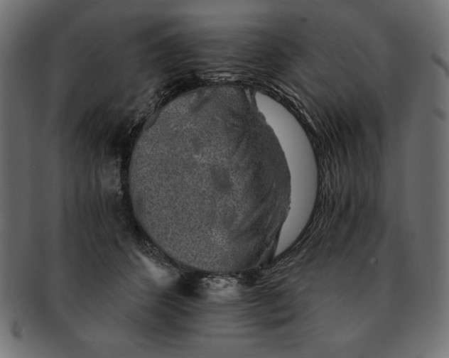 X0000091680512200709201241