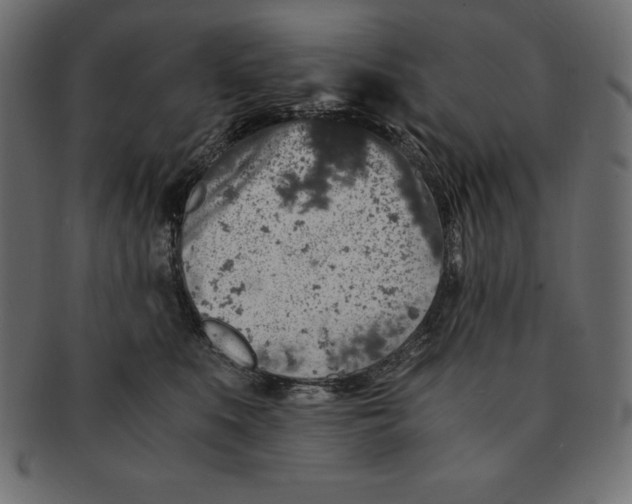 X0000091680519200709201241