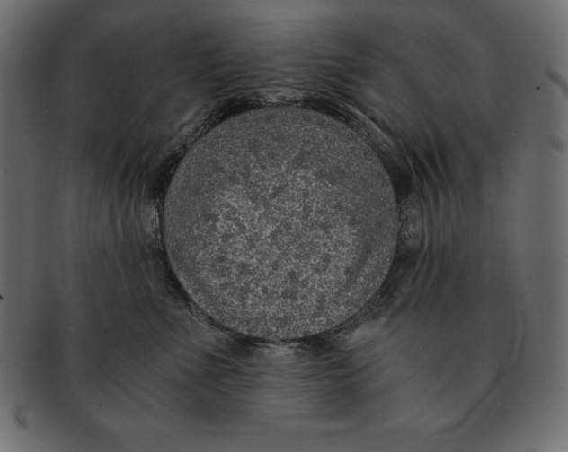 X0000091680523200709201241