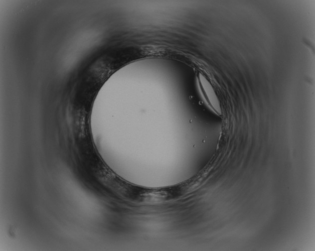 X0000091680525200709201241