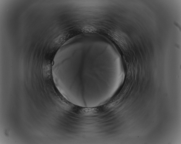 X0000091680526200709201241