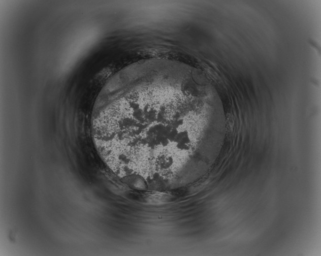 X0000091680527200709201241