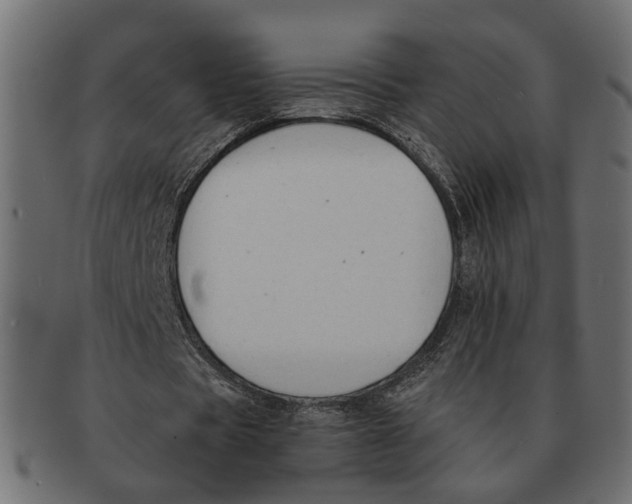 X0000091680529200709201240