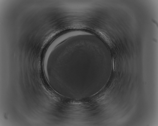 X0000091680531200709201240