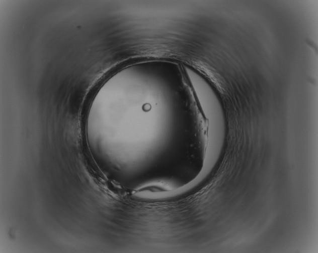 X0000091680532200709201240