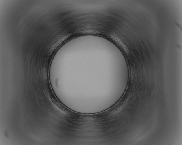 X0000091680533200709201240