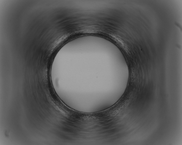 X0000091680535200709201241