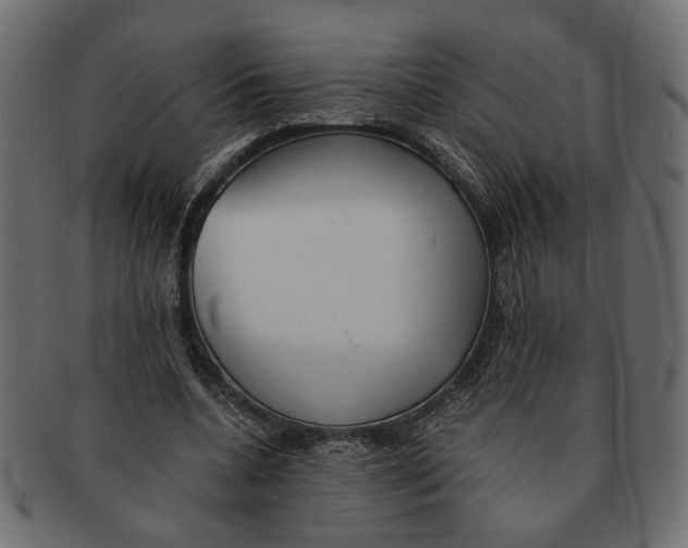 X0000091680536200709201241